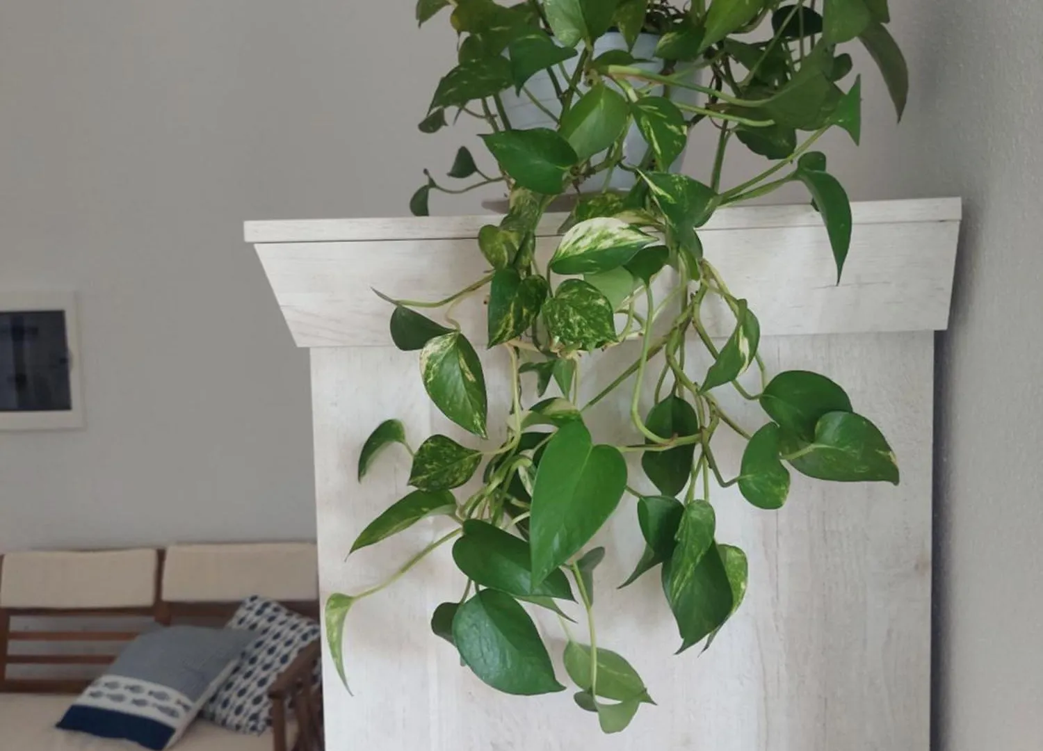 Venus Apartment Villasimius 0*,  Italien